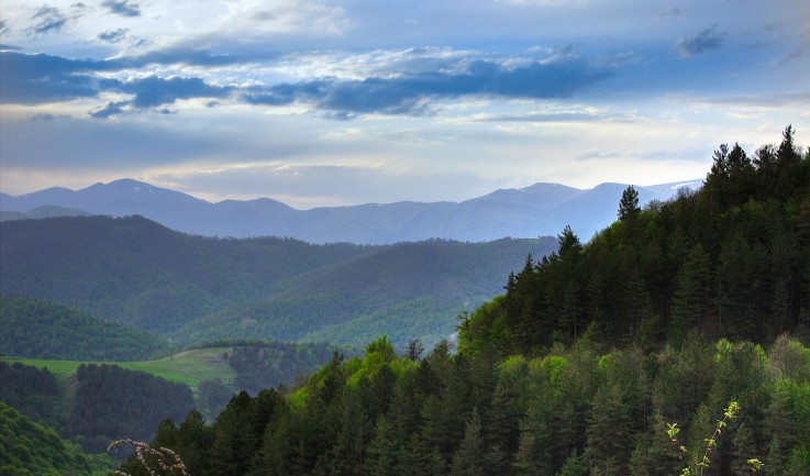 Dilijan National Park